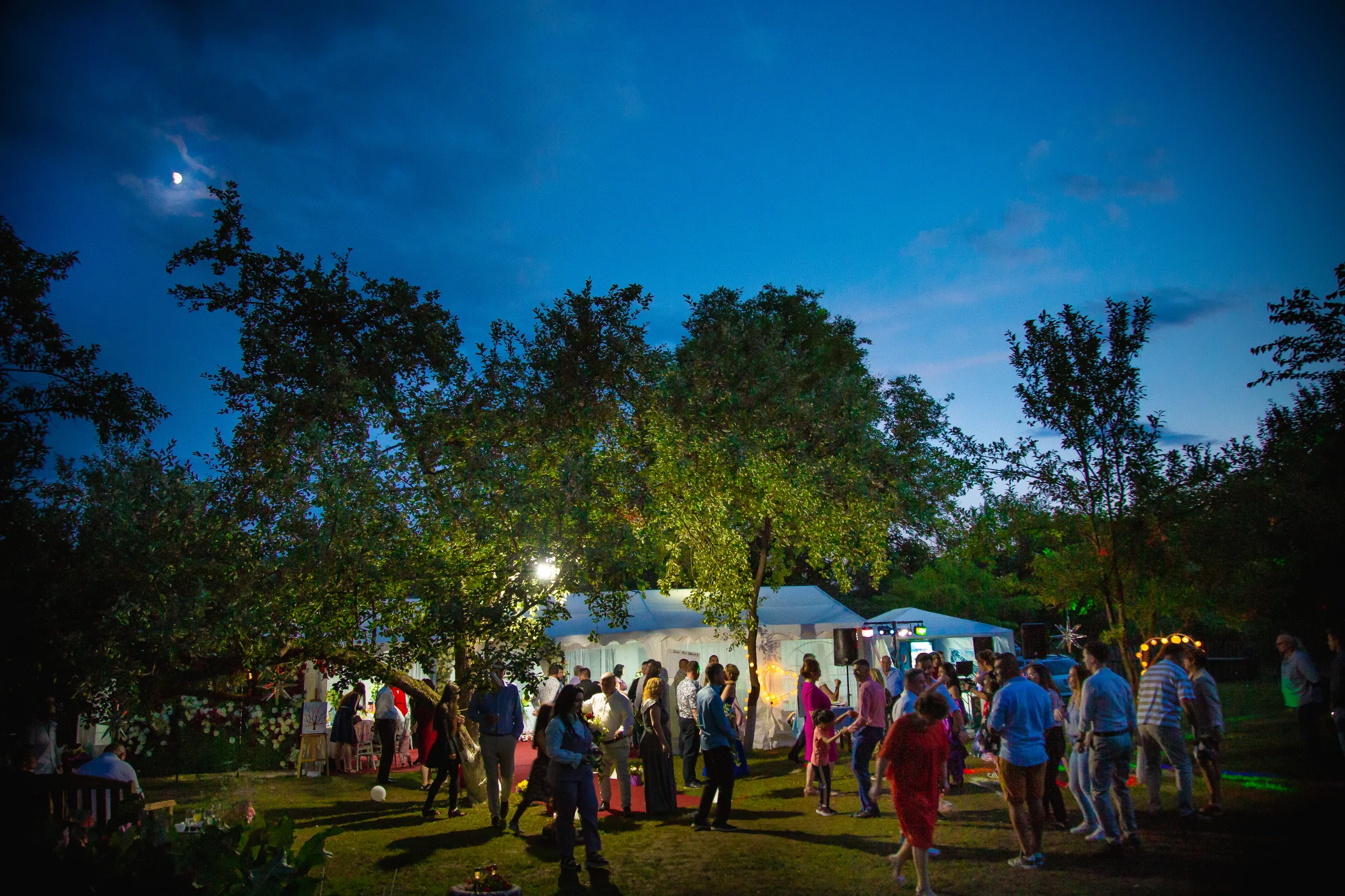 Fotograf nuntă, botez, evenimente Mioveni, Câmpulung, Pitești, București